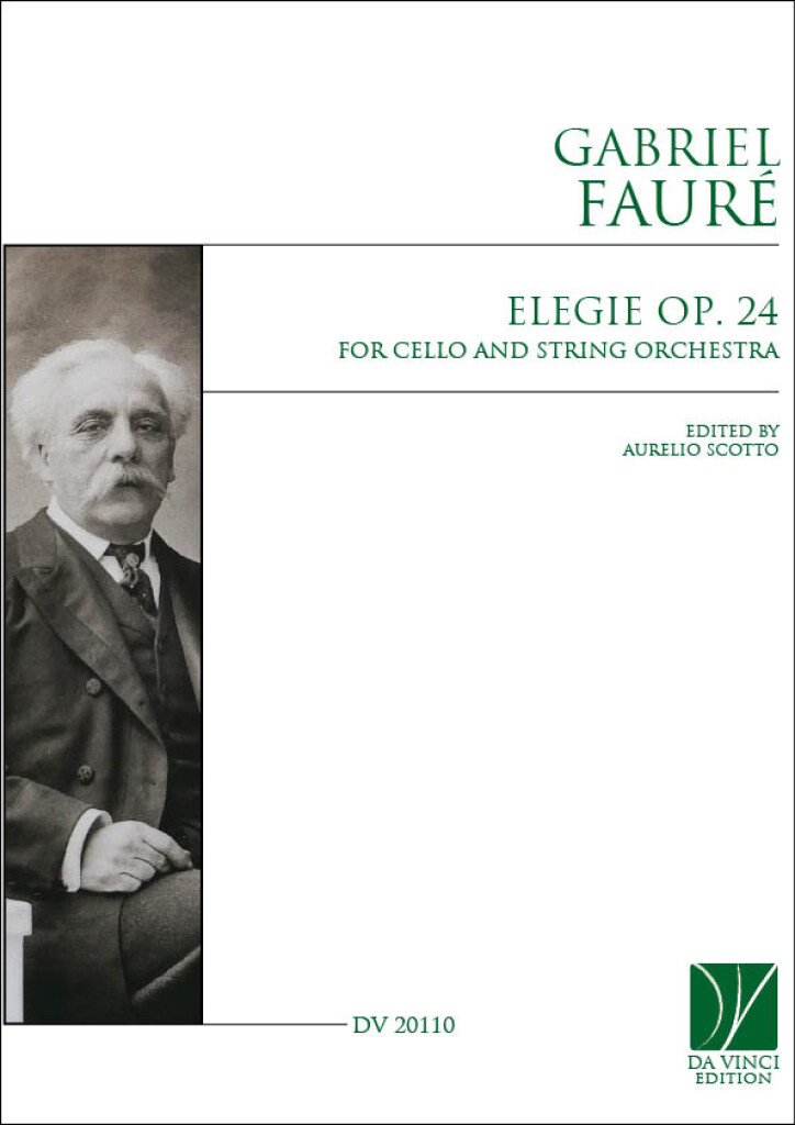 Elegie op. 24, for Cello and string Orchestra